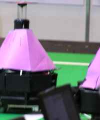 �傫���͒��a�C����60cm���炢���ȁH