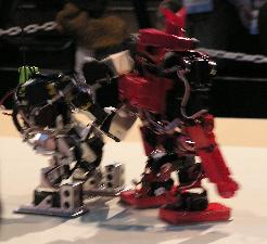 �ǂ����������C����