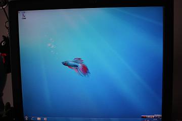 �ȒP�����ăc�}���i�C�����I�H<br>�c�Ǝv���Ă��܂��̂̓G���W�j�A�̐��H