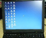 ���ꂢ����