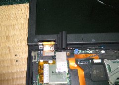 �����ŌŒ肳��Ă��邩�悭���܂��傤