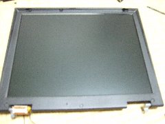 �Ȃ񂩂���Ă���C������c