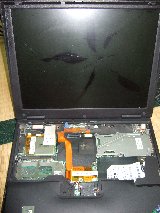 �������Ă݂�ƔߎS�Ȏp�c